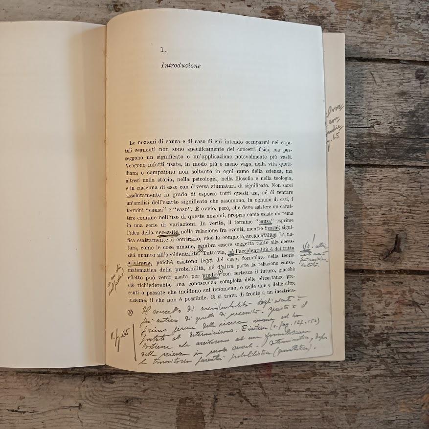 Filosofia naturale della causalità e del caso