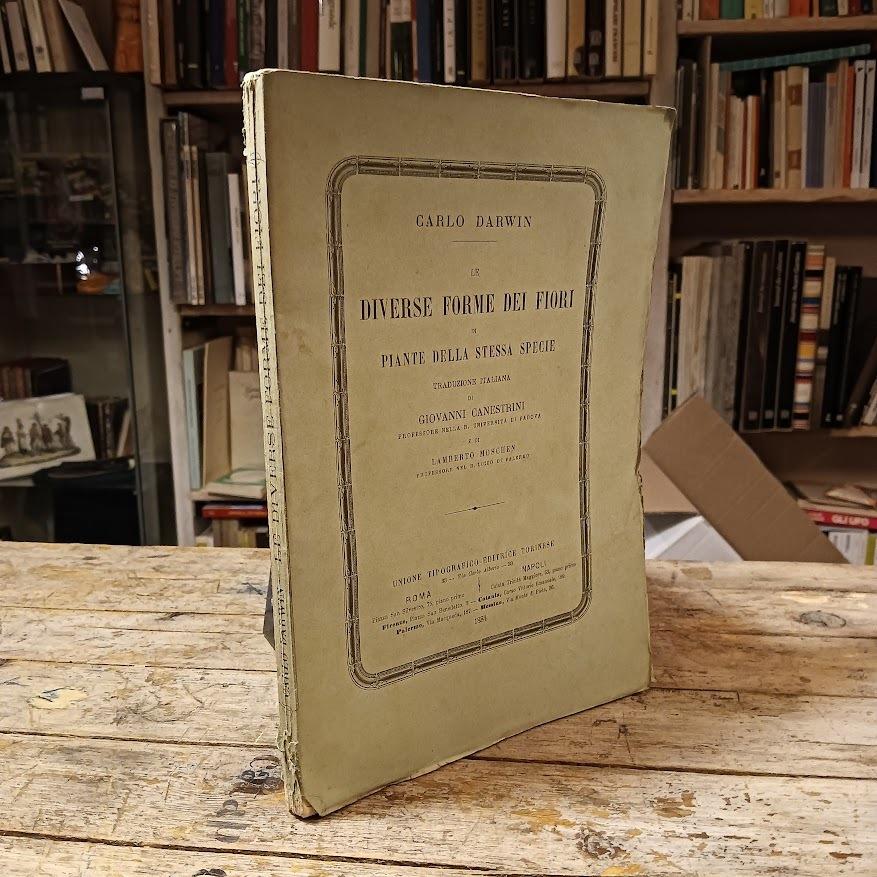 Libreria Catap Macerata