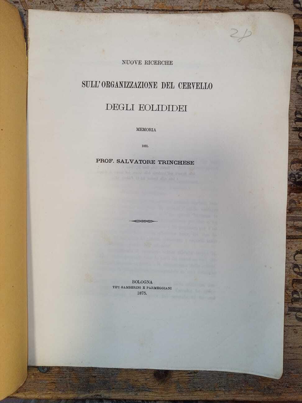 Libreria Catap Macerata