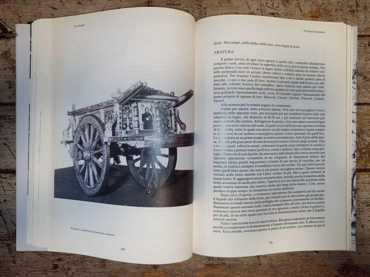 Storia di Osimo (2 volumi)