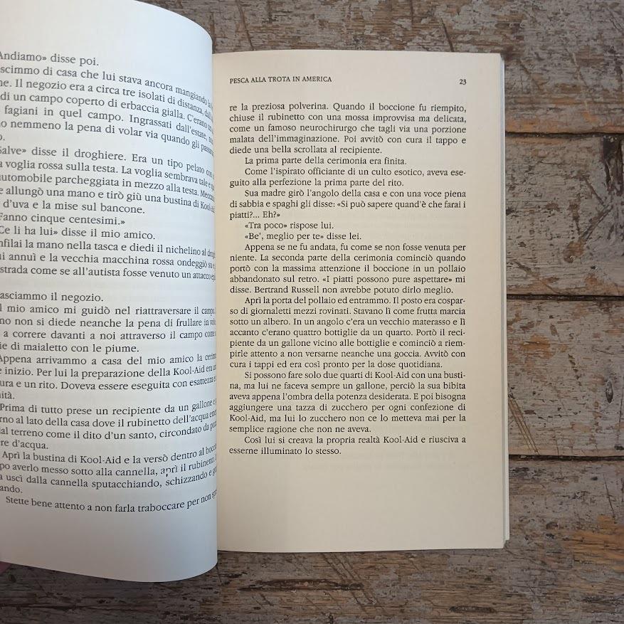 Pesca alla trota in America