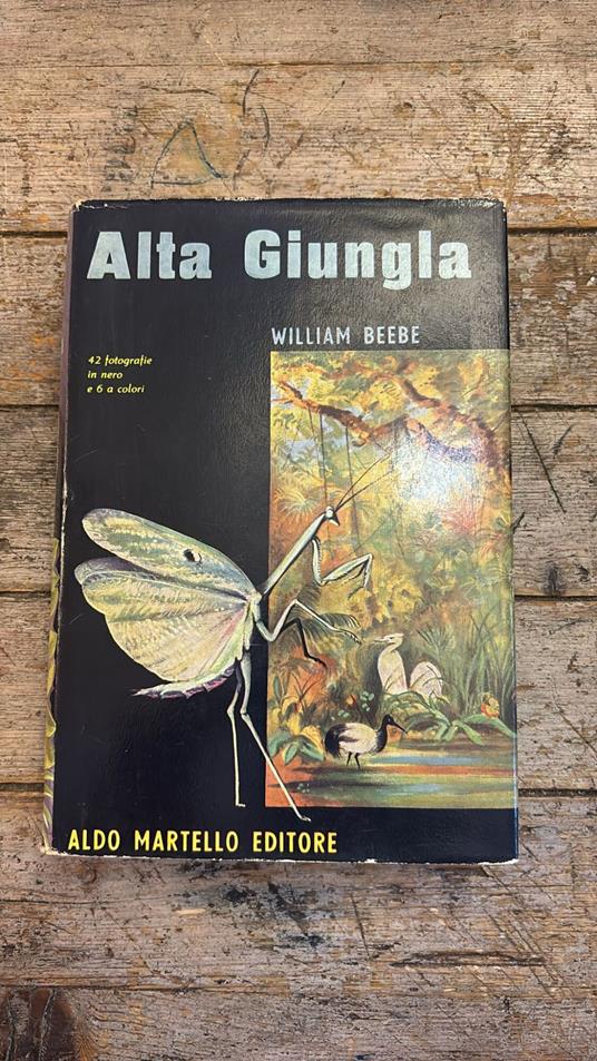 Alta giungla - William Beebe - copertina