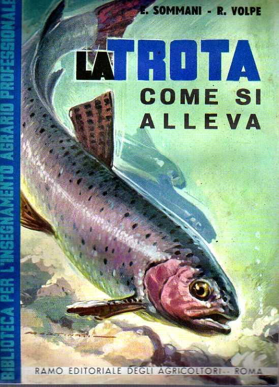 Laboratorio del libro