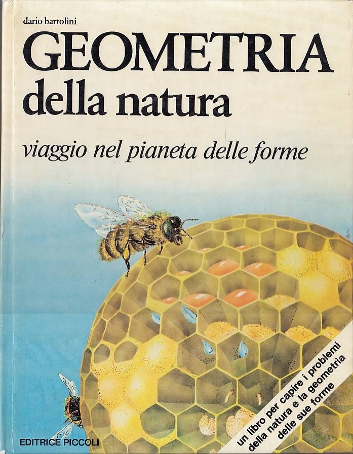 L'Odissea Libri e Arte