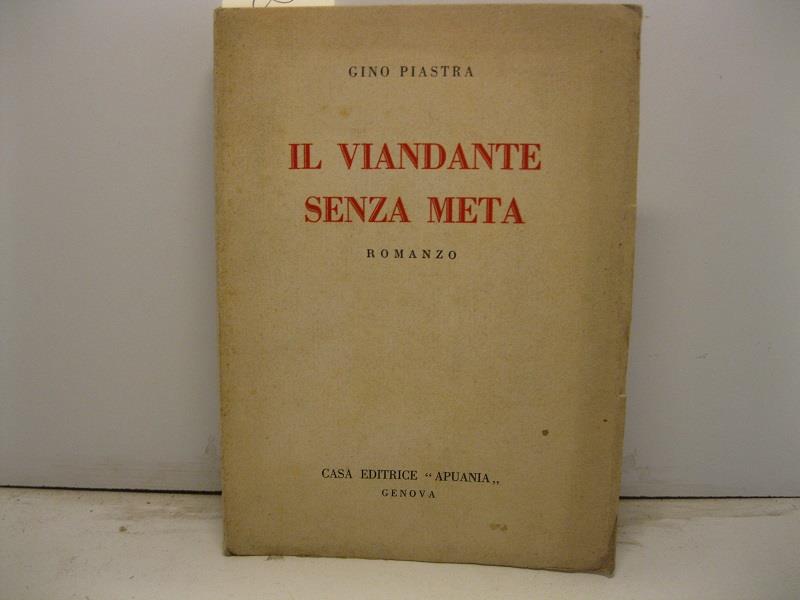 Il viandante senza meta. Romanzo