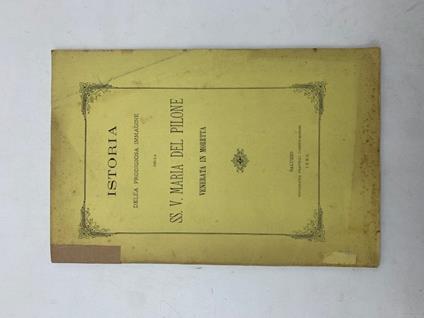 Istoria della prodigiosa immagine della SS. V. Maria del Pilone venerata in Moretta - Giacinto Gallizia - copertina