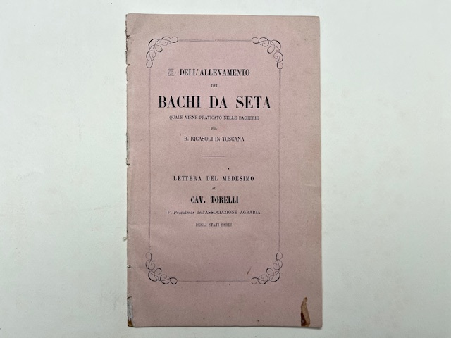 Libreria Coenobium