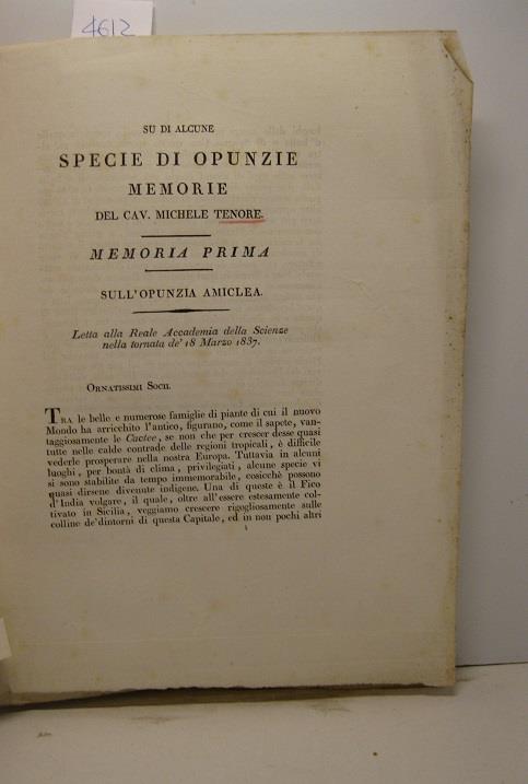 Su di alcune specie di opunzie. Memoria prima. Sull'opunzia amiclea. Letta alla Reale Accademia delle Scienze nella tornata de' 18 marzo 1837