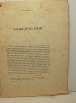 Giovambattista Pelori