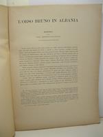 L' orso bruno in Italia. Memoria letta nella sessione del 12 marzo 1933