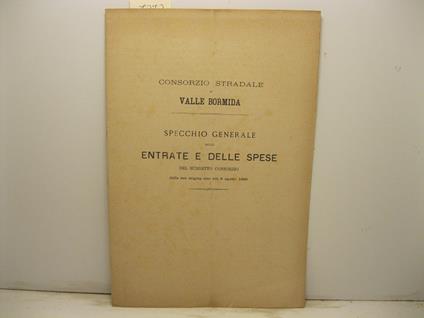 Consorzio stradale di Valle Bormida. Specchio generale delle entrate e delle spese del suddetto consorzio dalla sua origine sino alli 8 agosto 1880 - copertina