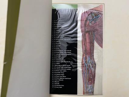 Il braccio in trasparenza anatomica. Abbott Laboratories (Catalogo pubblicitario) - copertina