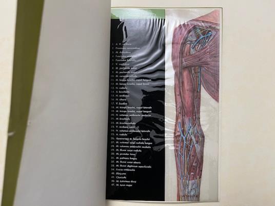 Il braccio in trasparenza anatomica. Abbott Laboratories (Catalogo pubblicitario) - copertina