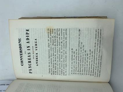 Conversione del pancreas in adipe - Andrea Verga - copertina