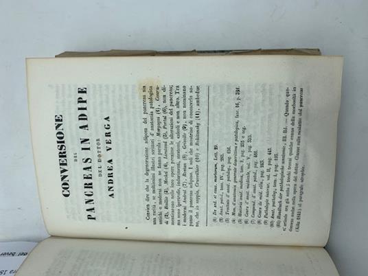 Conversione del pancreas in adipe - Andrea Verga - copertina