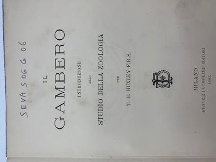 Il gambero. Introduzione allo studio della zoologia - copertina