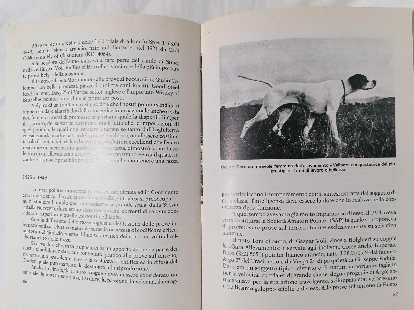 Il Pointer Moderno - Felice Steffenino Libro Cani da Caccia Cinofilia 1978