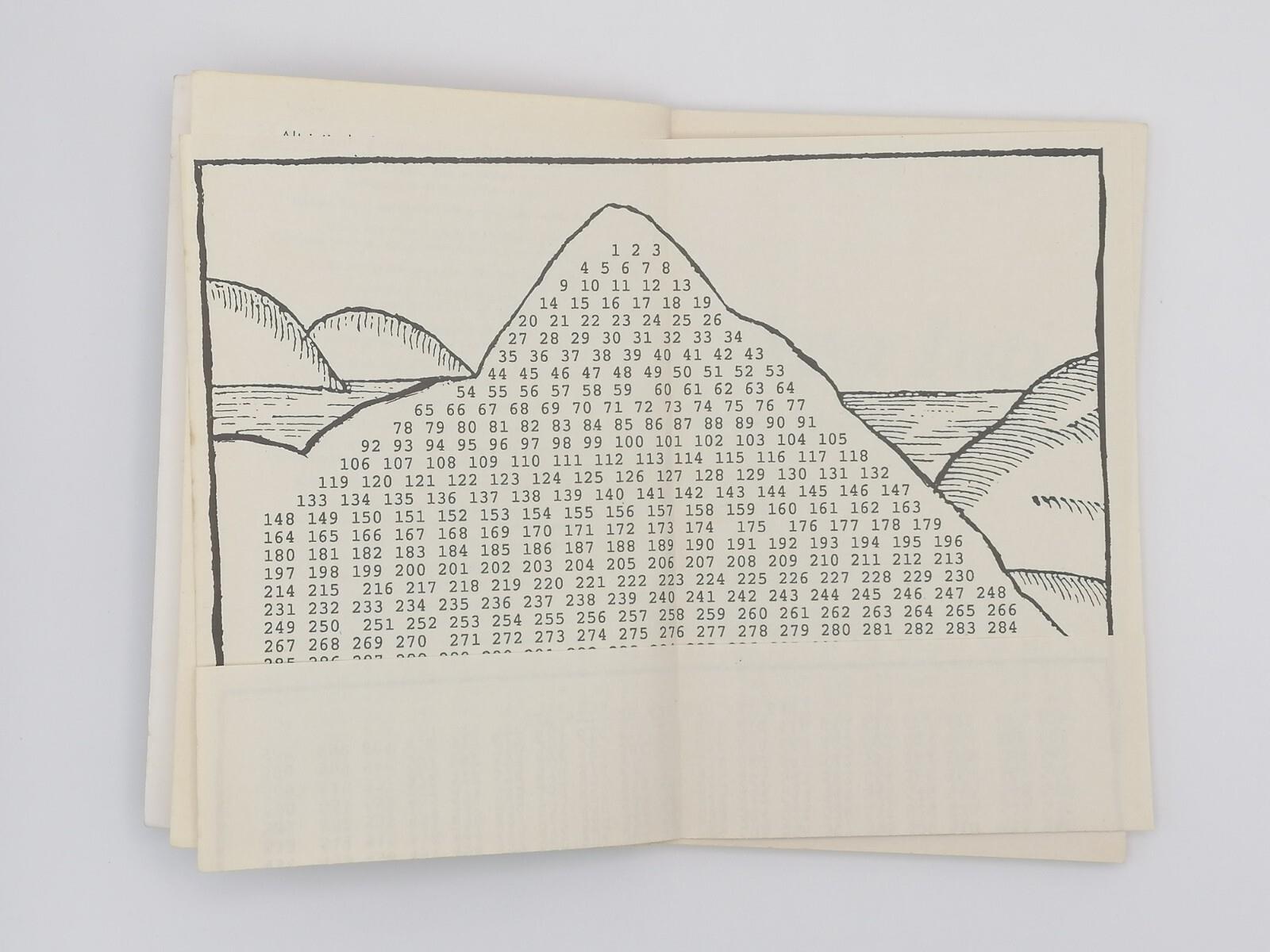 Apu Inti Il Cuore Dello Sciamanesimo Andino Libro Espinoza Chamalù Macro 1998