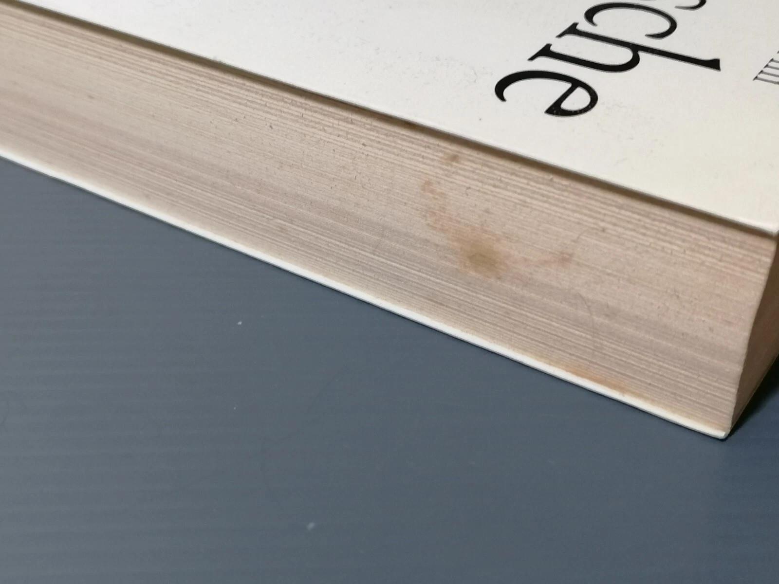 Nietzsche l'Apolide dell'Esistenza Libro Fini Specchi Marsilio Prima Edizione 02