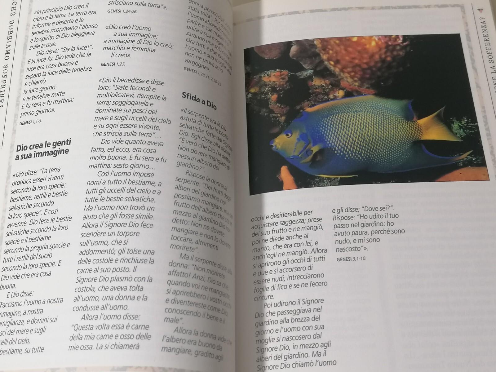 Perché Dobbiamo Soffrire Lo Scandalo Della Sofferenza Libro Jones 8801103190