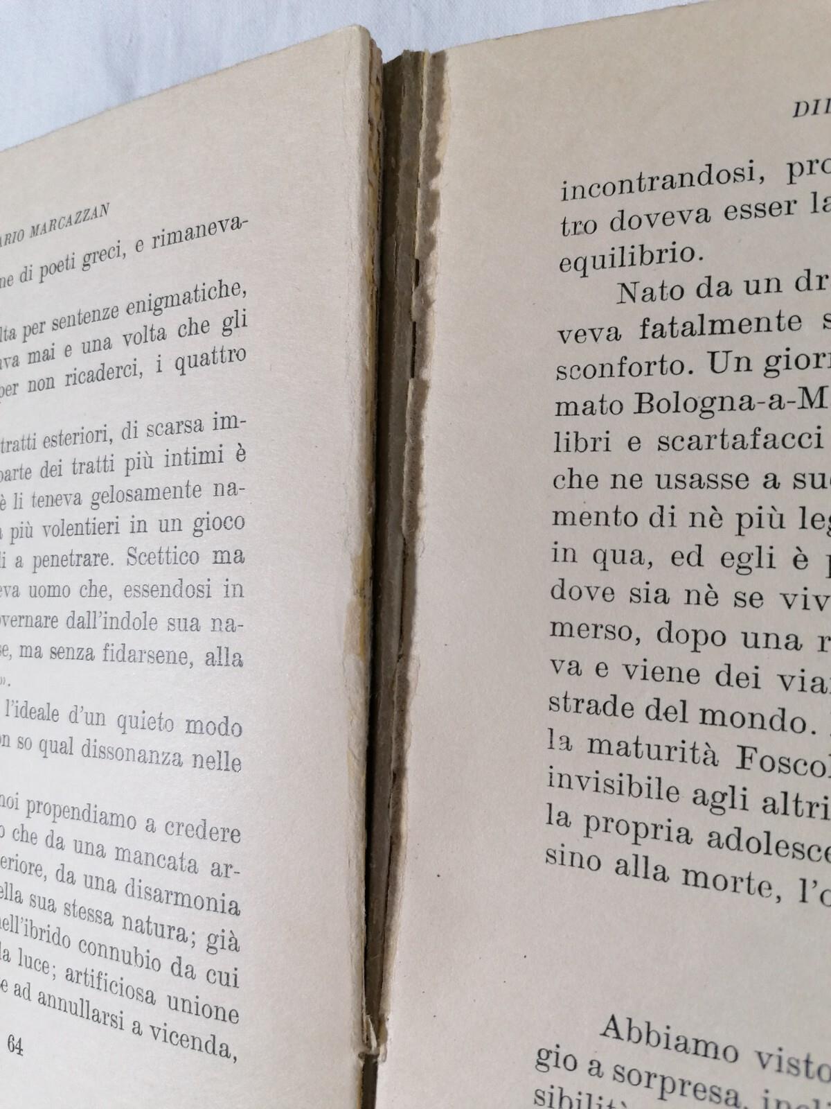 Didimo Chierico e Altri Saggi