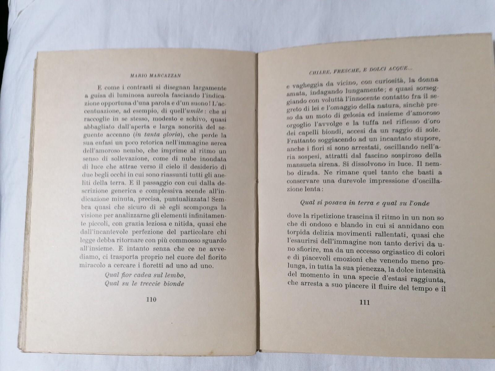 Didimo Chierico e Altri Saggi