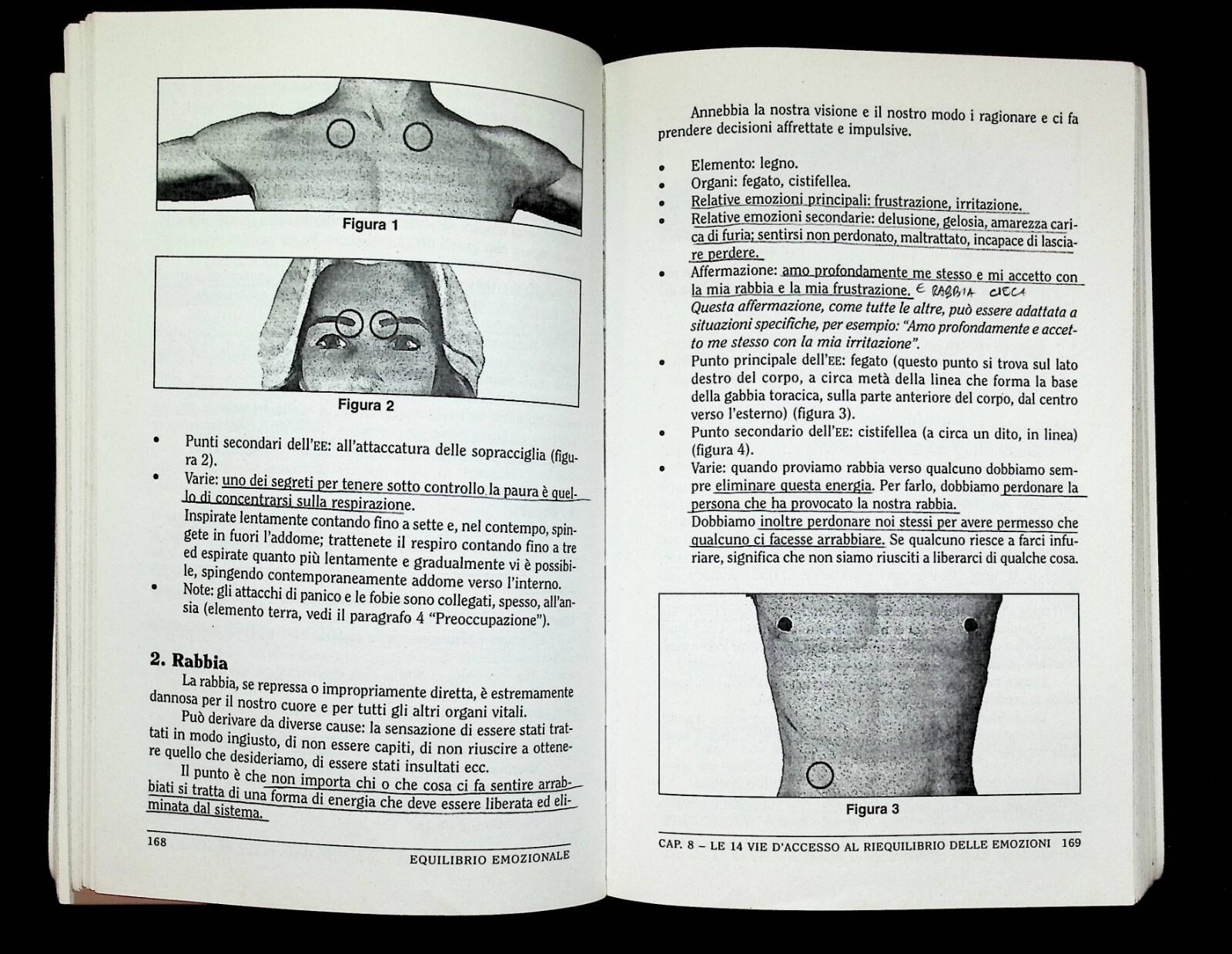 Equilibrio emozionale. Dal massimo impegno all'annullamento di ogni fatica: la via che conduce alla pace e alla guarigione interiore
