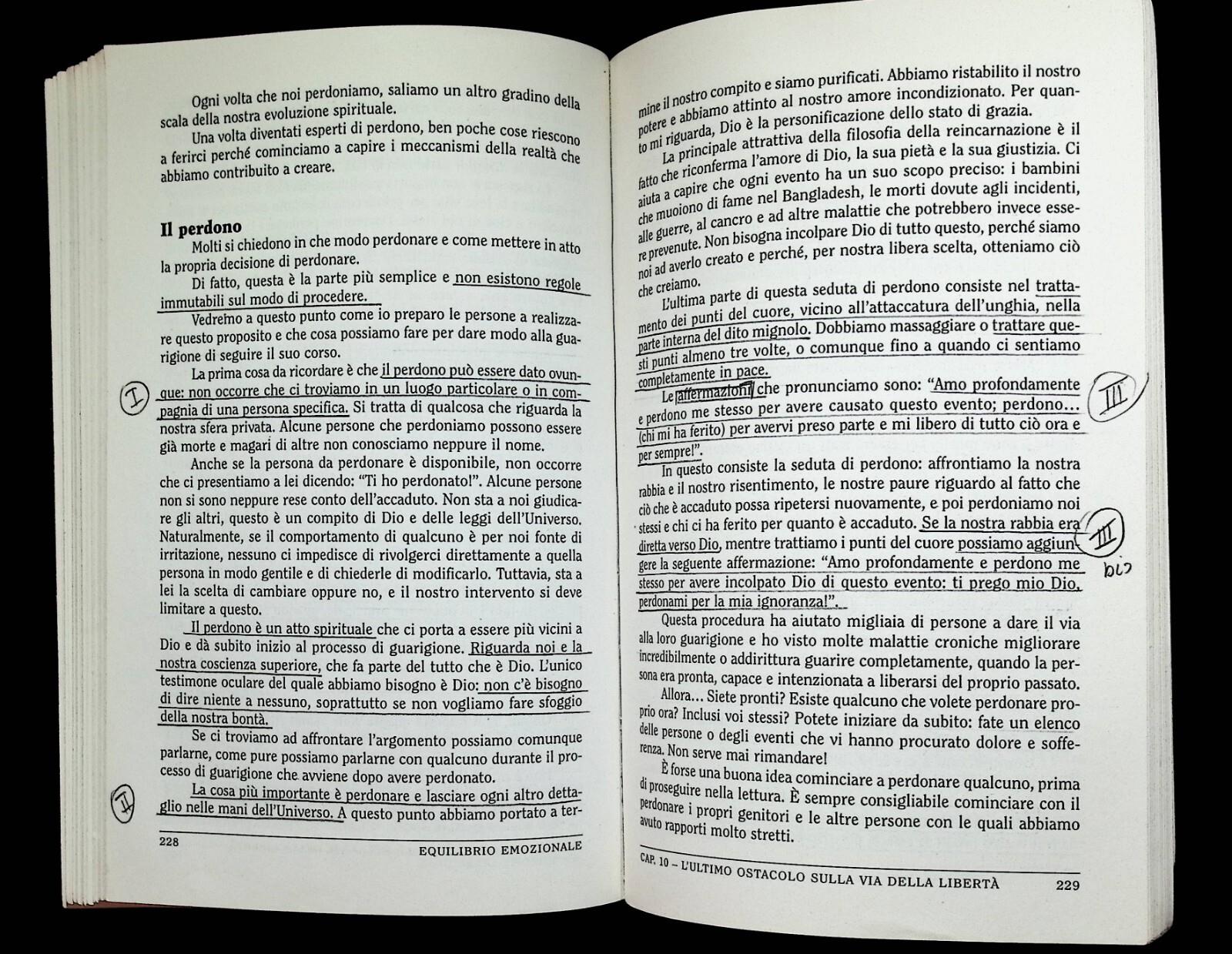 Equilibrio emozionale. Dal massimo impegno all'annullamento di ogni fatica: la via che conduce alla pace e alla guarigione interiore