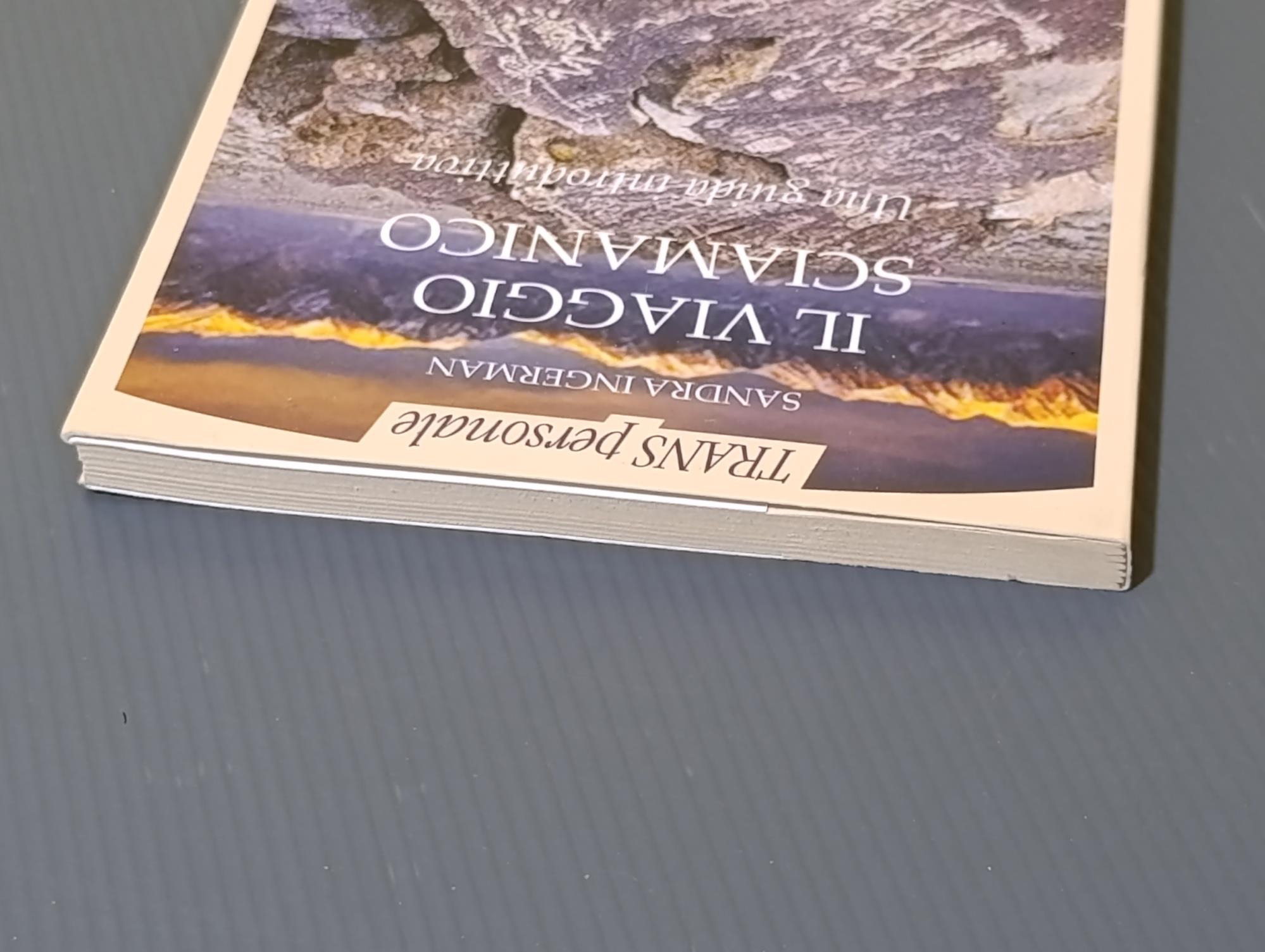 Il viaggio sciamanico : una guida introduttiva