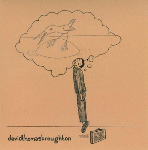 The Complete Guide To Insufficiency - CD Audio di David Thomas Broughton