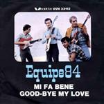 Mi Fa Bene / Good-Bye My Love