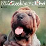 32° Zecchino D'Oro - 15' Rassegna Internazionale Di Canzoni Per Bambini 1989