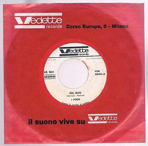 Nel Buio - Vinile LP di Pooh