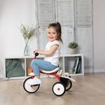 Smoby Triciclo per Bambini Rookie Rosso
