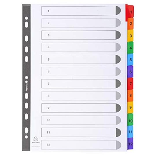 Lotto di 20 divisori 1-12, 12 posizioni, formato A4, in carta a colori, colore b - 2