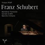 Fantasia Wanderer - Sonata per pianoforte D894 - Marcia militare