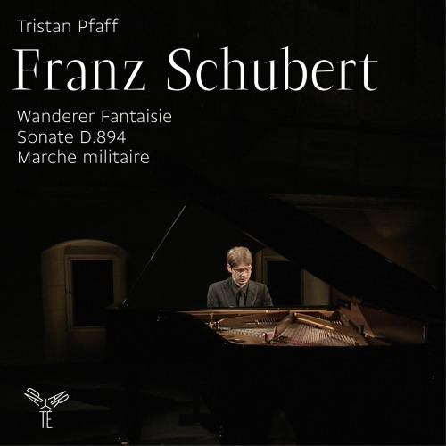 Fantasia Wanderer - Sonata per pianoforte D894 - Marcia militare - CD Audio di Franz Schubert,Tristan Pfaff