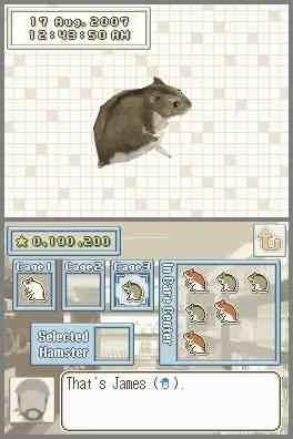 Hamsterz 2008 - 4