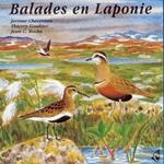 Sons De La Nature. Balades En Laponie