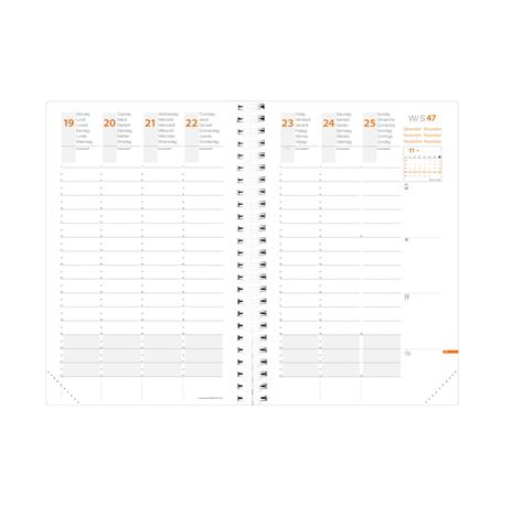 Agenda settimanale 2025, Quo Vadis, 13 mesi, TIME&LIFE POCKET con rubrica, IT blu cangiante, con elastico - 10 x 15 cm - 2