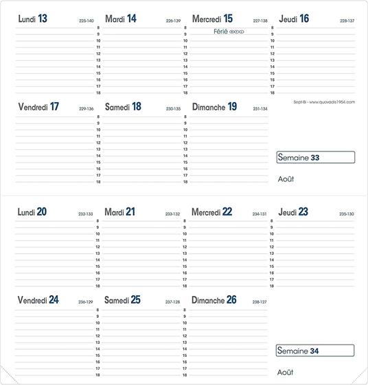 Agenda settimanale 2026, Quo Vadis, 13 mesi, Time&Life POCKET, con rubrica, argento, con elastico - 10 x 15 cm  - 2