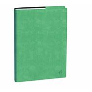 Agenda settimanale 2026, Quo Vadis, 13 mesi, Trinote, con rubrica, italiano, Roma verde acqua - 18 x 24 cm 