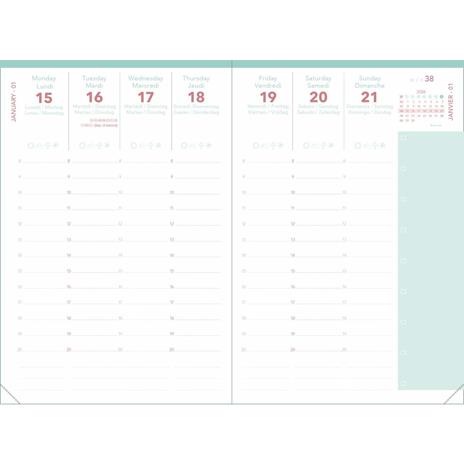 Agenda Affari 2026 Quo Vadis, 13 mesi, settimanale, Calypso verde - 10 x 15 cm  - 3