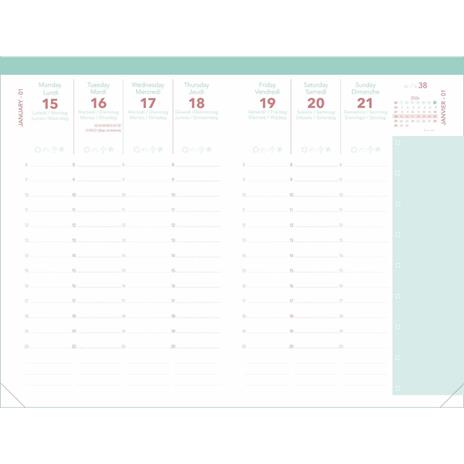 Agenda settimanale 2026, Quo Vadis, 13 mesi, Ministro calypso verde - 16 x 24 cm  - 3