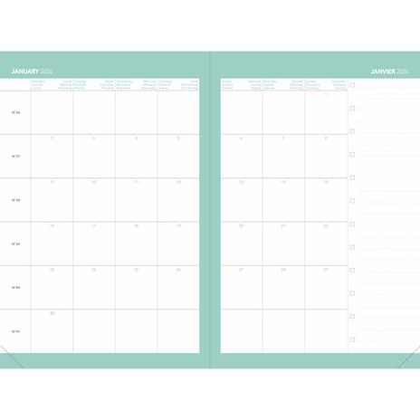 Agenda settimanale 2026, Quo Vadis, 13 mesi, Ministro calypso verde - 16 x 24 cm  - 4