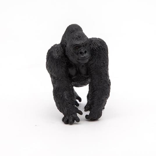 Gorilla - 5