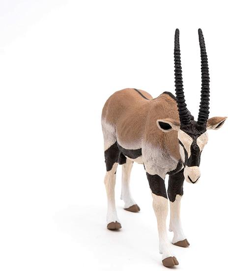 Antelope Oryx - 2