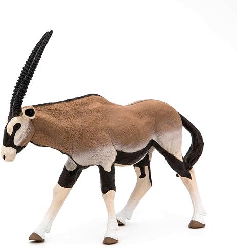 Antelope Oryx - 4