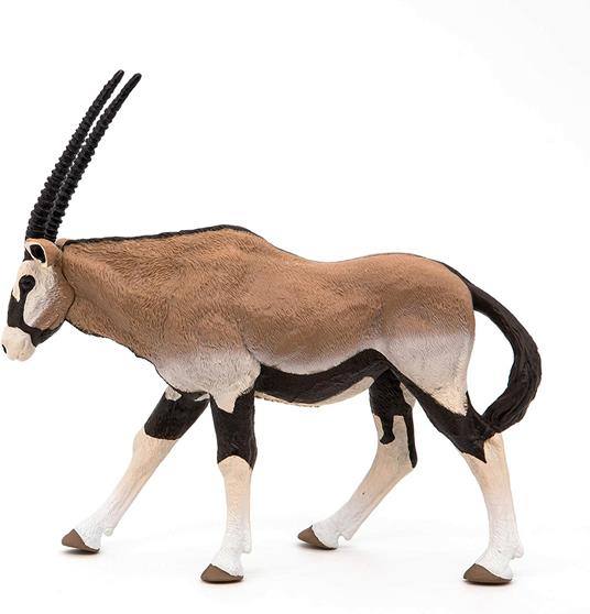Antelope Oryx - 5