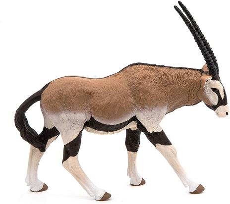 Antelope Oryx - 6